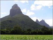 V rovin cukrov ttina a jinak brutln vrcholy sopenho pvodu - to je Mauritius.