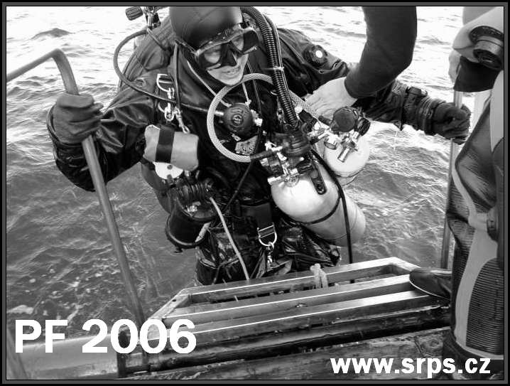 PF_2006s